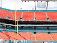 DSC 8770 : Dolphin Game Luke Virgin Atlantic