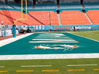 DSC 8771 : Dolphin Game Luke Virgin Atlantic