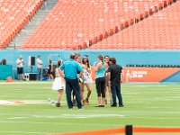 DSC 8776 : Dolphin Game Luke Virgin Atlantic