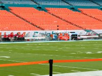 DSC 8778 : Dolphin Game Luke Virgin Atlantic