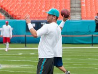 DSC 8790 : Dolphin Game Luke Virgin Atlantic