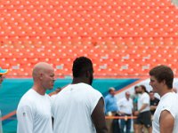 DSC 8794 : Dolphin Game Luke Virgin Atlantic