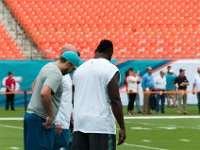 DSC 8795 : Dolphin Game Luke Virgin Atlantic