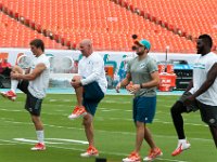 DSC 8796 : Dolphin Game Luke Virgin Atlantic