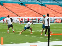 DSC 8798 : Dolphin Game Luke Virgin Atlantic