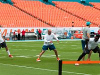 DSC 8799 : Dolphin Game Luke Virgin Atlantic