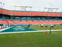 DSC 8801 : Dolphin Game Luke Virgin Atlantic