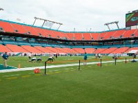 DSC 8802 : Dolphin Game Luke Virgin Atlantic