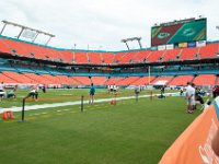 DSC 8803 : Dolphin Game Luke Virgin Atlantic