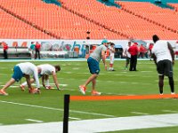 DSC 8804 : Dolphin Game Luke Virgin Atlantic