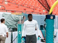 DSC 8806 : Dolphin Game Luke Virgin Atlantic