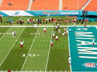 DSC 8820 : Dolphin Game Luke Virgin Atlantic
