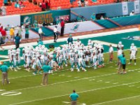DSC 8821 : Dolphin Game Luke Virgin Atlantic