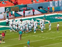DSC 8822 : Dolphin Game Luke Virgin Atlantic