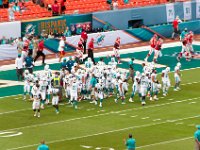 DSC 8823 : Dolphin Game Luke Virgin Atlantic