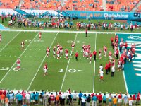 DSC 8827 : Dolphin Game Luke Virgin Atlantic