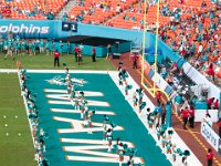 DSC 8832 : Dolphin Game Luke Virgin Atlantic