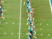 DSC 8834 : Dolphin Game Luke Virgin Atlantic