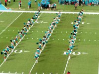 DSC 8835 : Dolphin Game Luke Virgin Atlantic