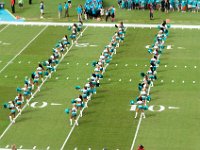 DSC 8836 : Dolphin Game Luke Virgin Atlantic