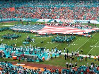 DSC 8844 : Dolphin Game Luke Virgin Atlantic