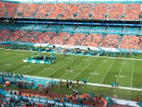 DSC 8853 : Dolphin Game Luke Virgin Atlantic