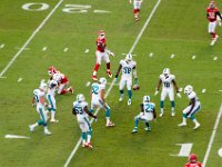 DSC 8855 : Dolphin Game Luke Virgin Atlantic