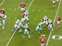 DSC 8859 : Dolphin Game Luke Virgin Atlantic