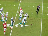 DSC 8860 : Dolphin Game Luke Virgin Atlantic