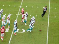DSC 8861 : Dolphin Game Luke Virgin Atlantic