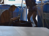 DSC 8314
