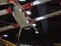 DSC 8354