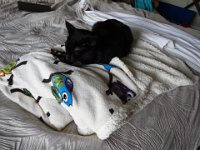 DSC00023