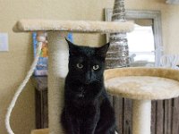 DSC 2433 : Christmas Day 2015