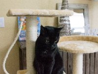 DSC 2434 : Christmas Day 2015