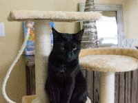 DSC 2435 : Christmas Day 2015