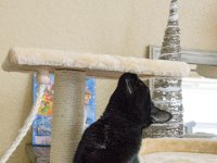 DSC 2436 : Christmas Day 2015