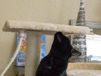 DSC 2437 : Christmas Day 2015