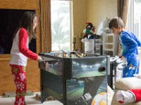 DSC 2449 : Christmas Day 2015