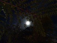 DSC00068