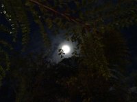 DSC00069