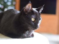 DSC 8885