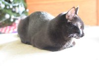 DSC 8889