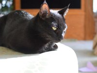 DSC 8892