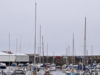DSC 7453