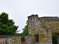 DSC 7459