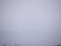DSC 7472