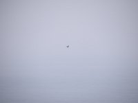 DSC 7473