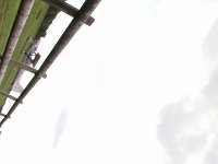 IMG 0041
