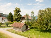 DSC 1610 : Europe Summer 2015 Zurich to Wengen